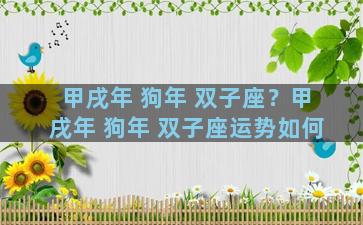 甲戌年 狗年 双子座？甲戌年 狗年 双子座运势如何